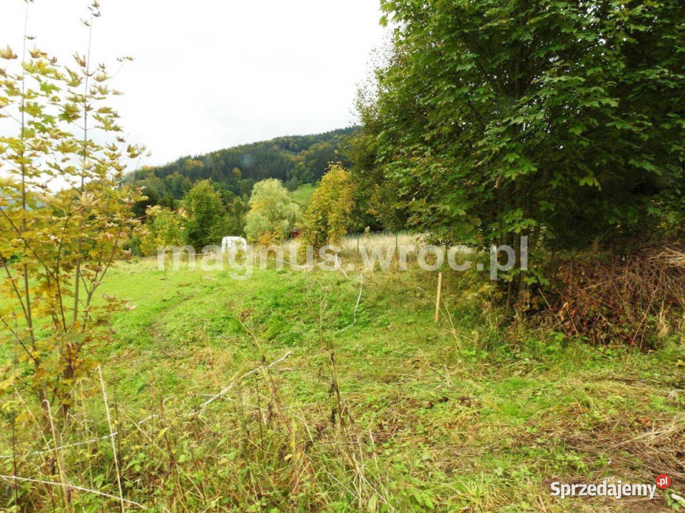 Działka budowlana z pięknym widokiem dolnośląskie Łomnica sprzedam