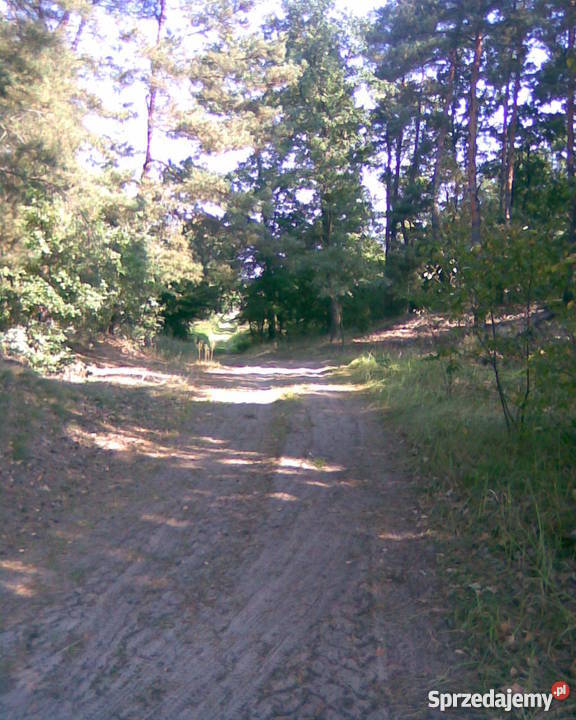 sprzedam gospodarstwo ziemię rolną Gilówka Dolna sprzedam