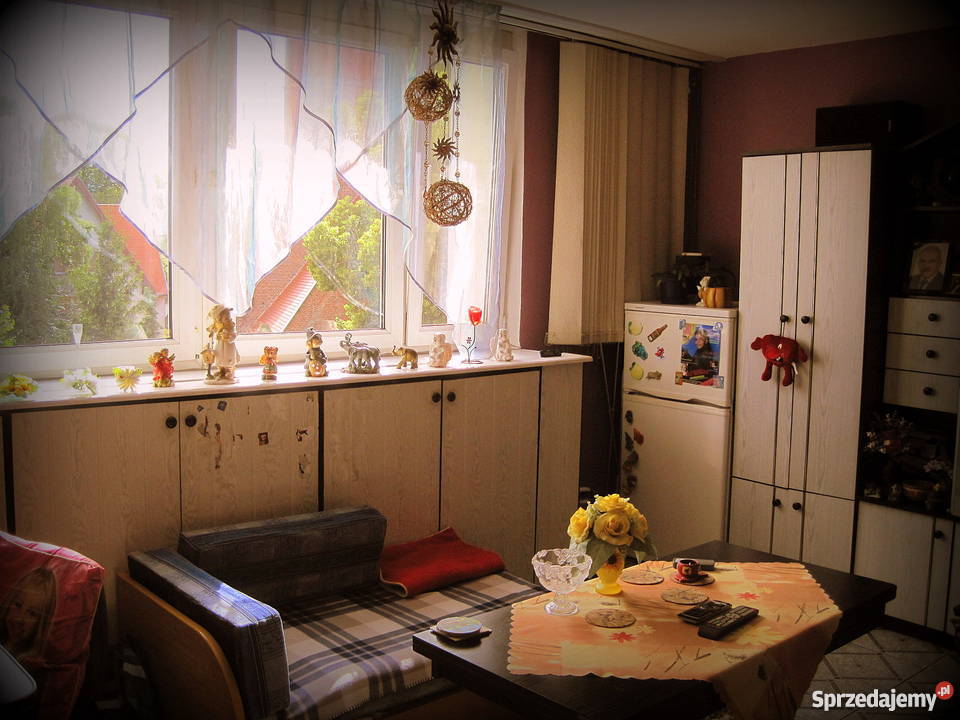 kawalerka w Nowogardzie