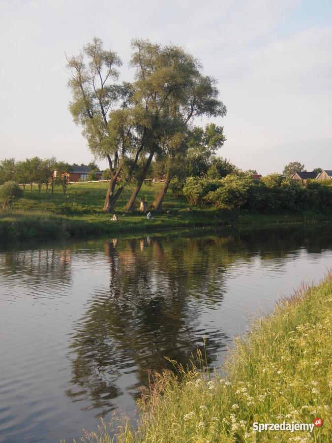 Siedlisko rzeką Narew Grunty i działki Góra