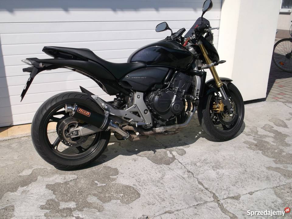 HUZAR EXHAUST wydech tłumik OWAL Honda Hornet Błażowa