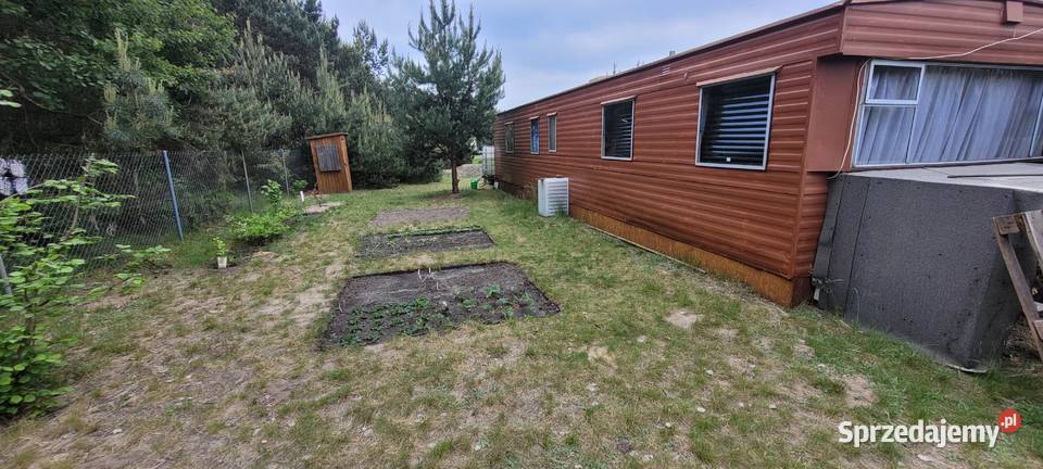 Działka rekreacyjna z warunkami Złotniki-Kolonia