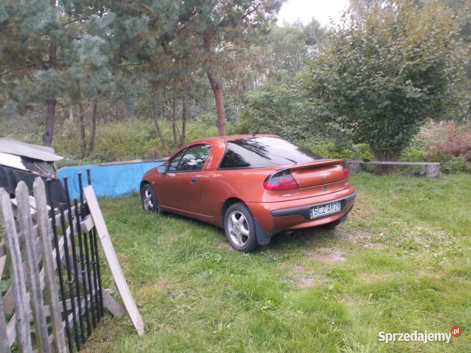 Opel Tigra śląskie Cykarzew Północny sprzedam