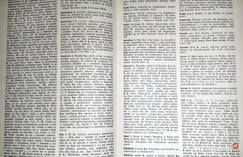 Słownik frazeologiczny języka polskiego Tom 12 twarda Chełm