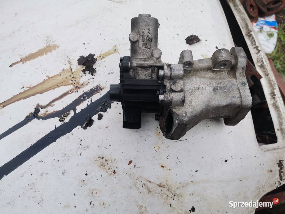 Zawór egr ford citroen peugeot 22hdi