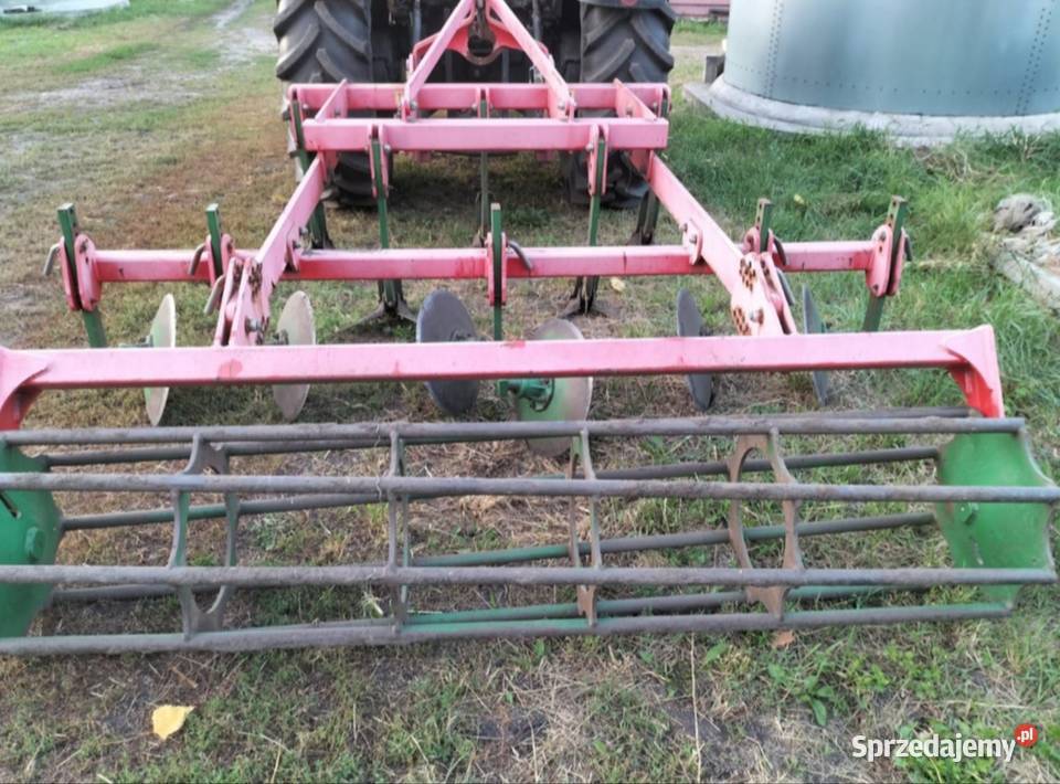 Gruber Kos Kultywatory kujawsko-pomorskie