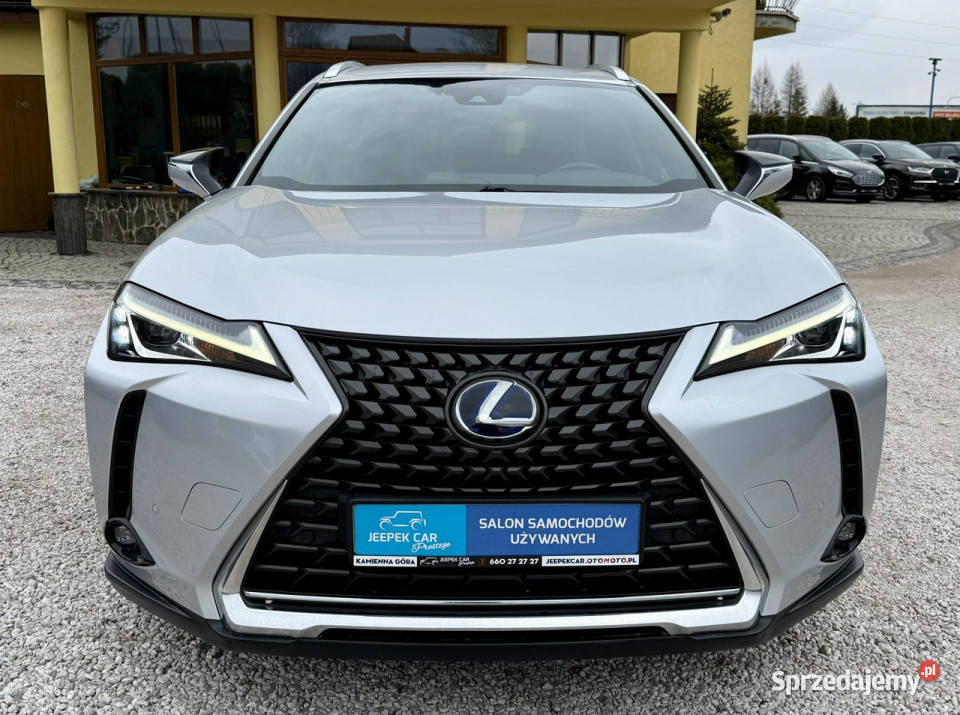 Lexus UX 250hHybryda4x4Gwarancja hybryda Kamienna Góra