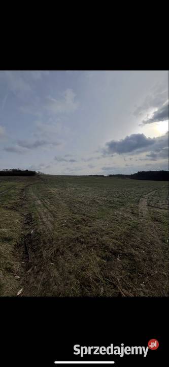 Do wynajęcia 70 ha autostrady A4 Chrzanów sprzedam