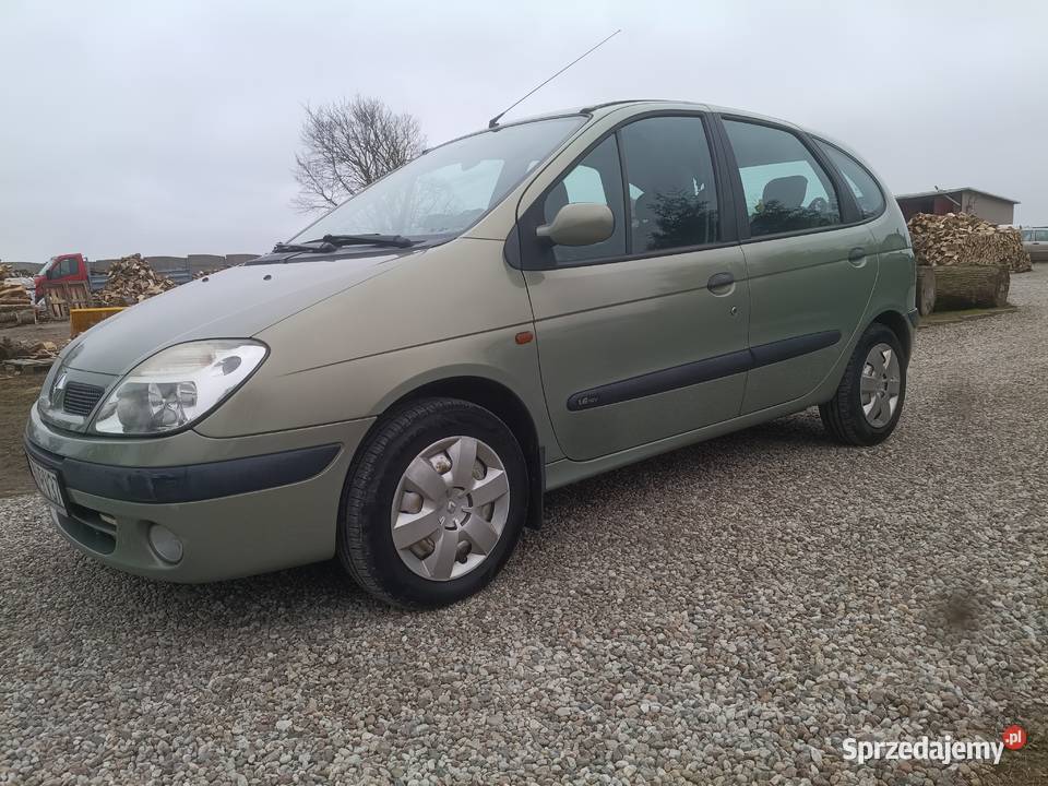 Renault Scenic 2003 16 16V klimatyzacja w Pełni Jankowo sprzedam