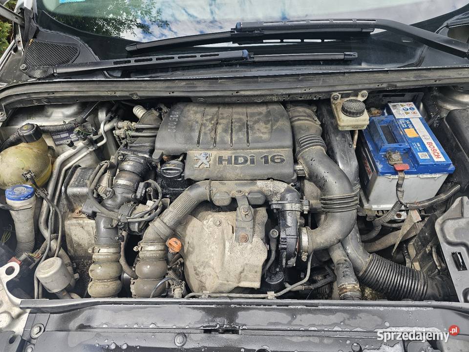 Peugeot 307 16 hdi Chotynin