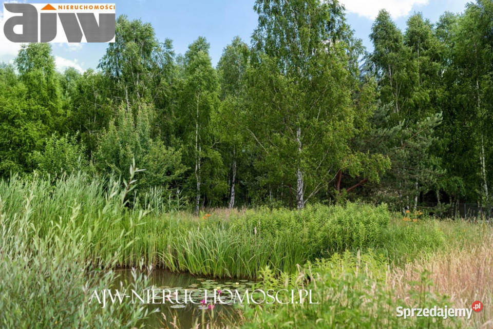 Sprzedaż domu wolnostojącego Osieck 560m2 Sprzedaż