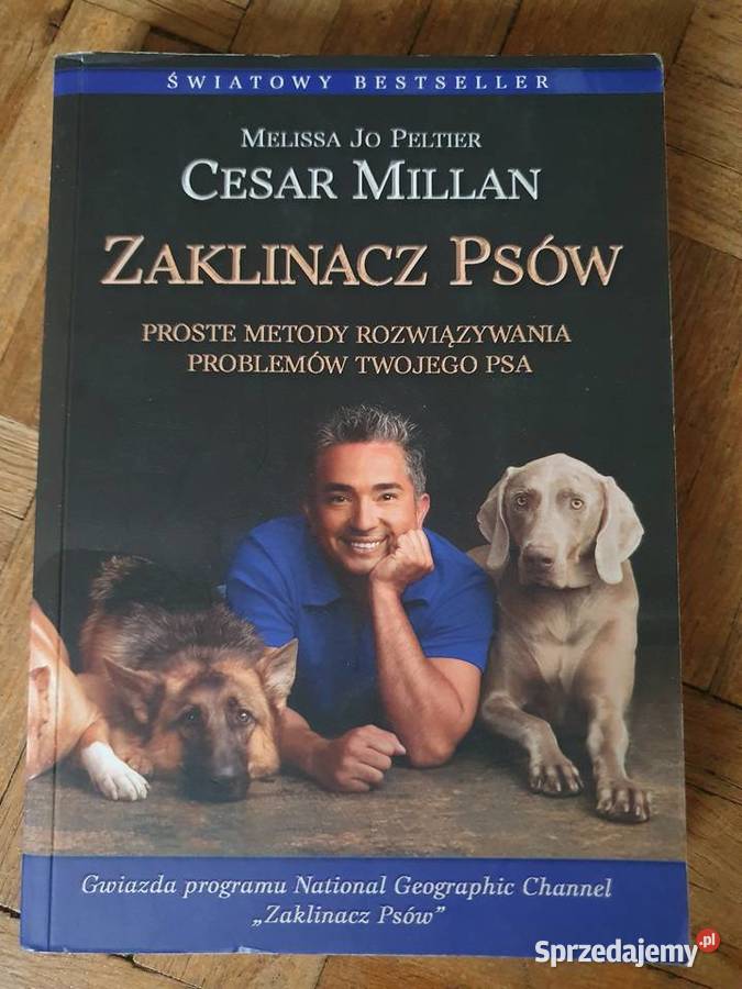 SUPER STAN Cesar Millan WYCHOWAĆ ZOSTAĆ miękka Wrocław