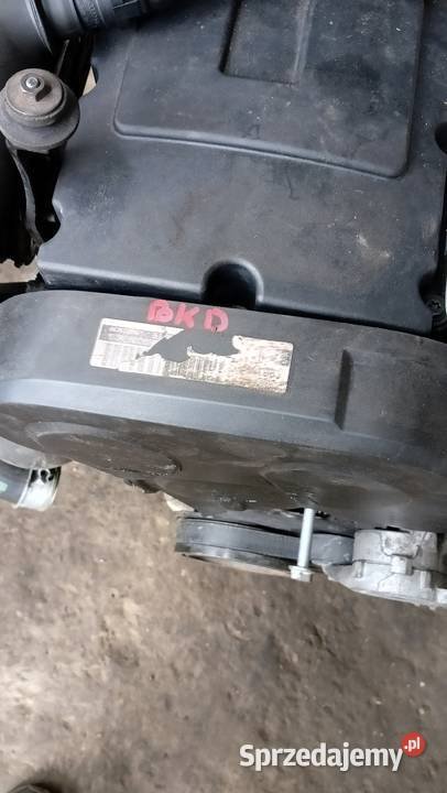 Silnik 20TDI 103kW BKD 223189 kompletny Nysa