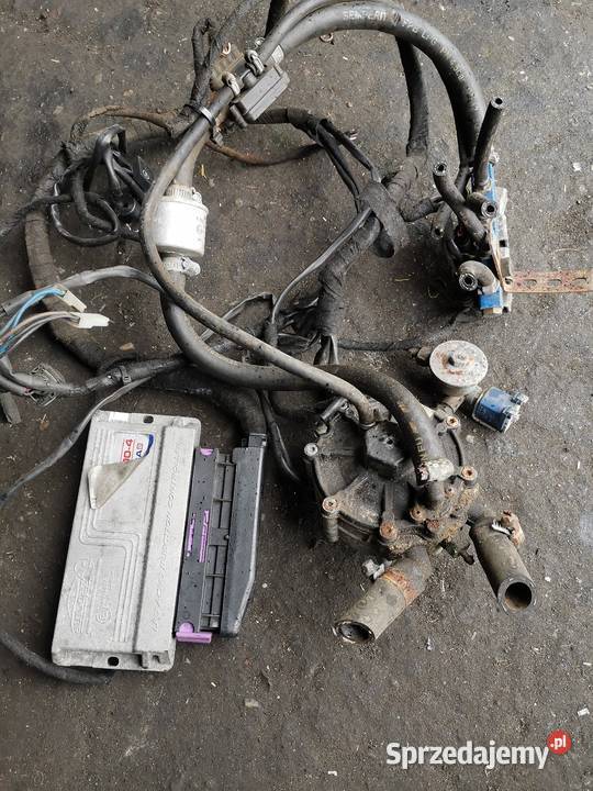 Instalacja gazowa stag 3004