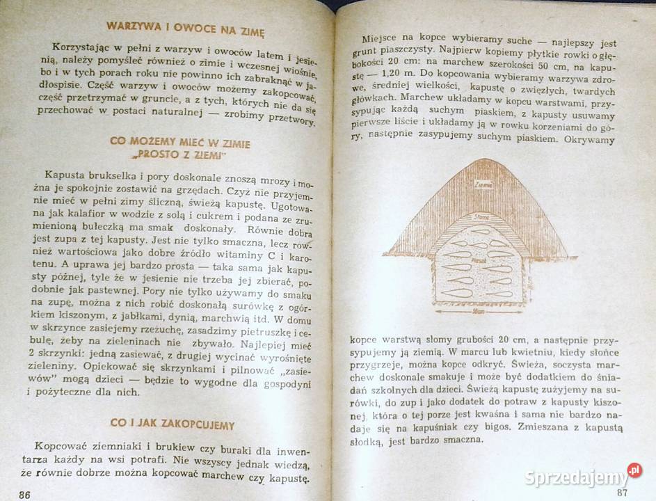 Zdrowe żywienie zdrowa rodzina Maria Szczygłowa miękka Pozostałe