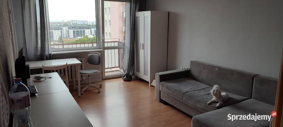 Gdansk Oliwa 304 m2 kawalerka Gdańsk sprzedam