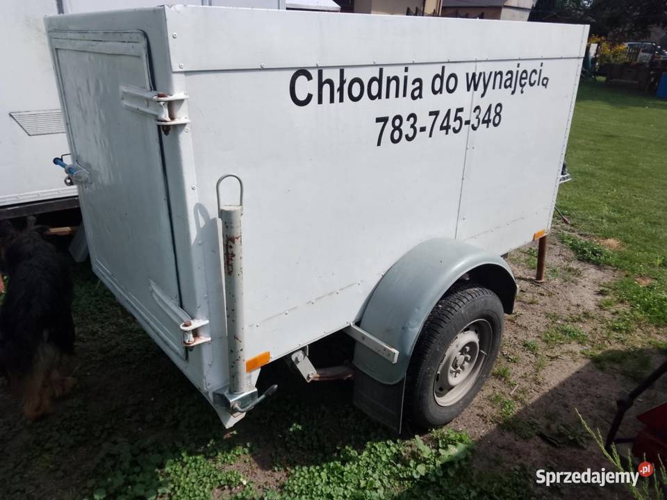 Lodowka wynajem Busko-Zdrój