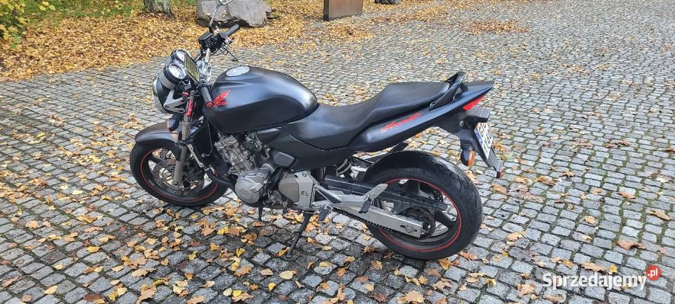 Honda Hornet Tczew