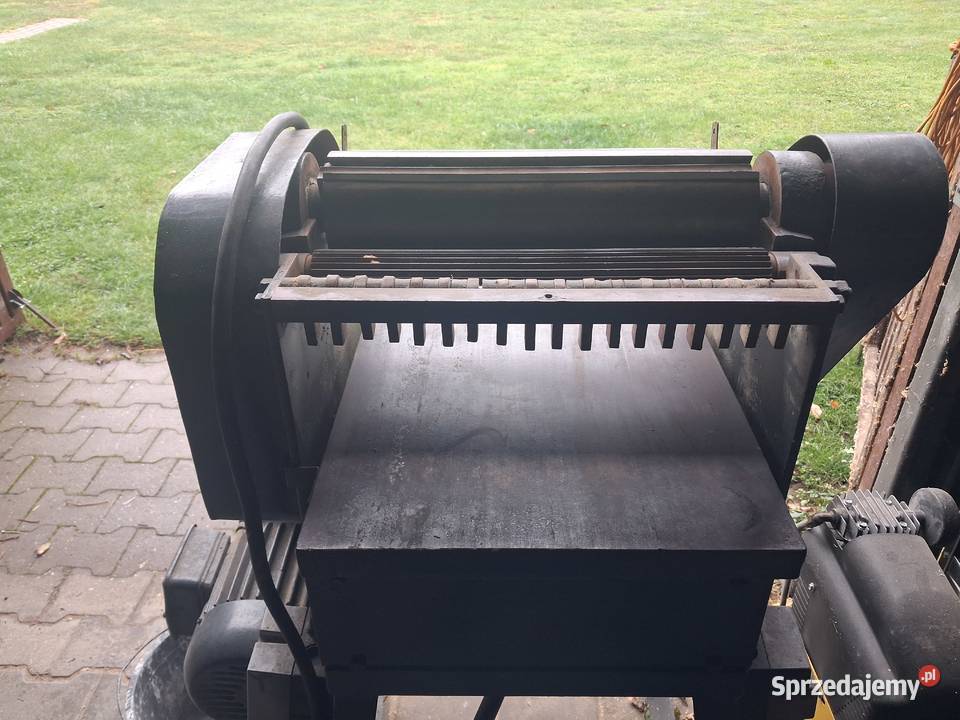 Grubościówka Brzeg