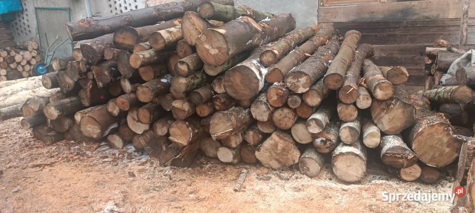 Sprzedam drewno jawor