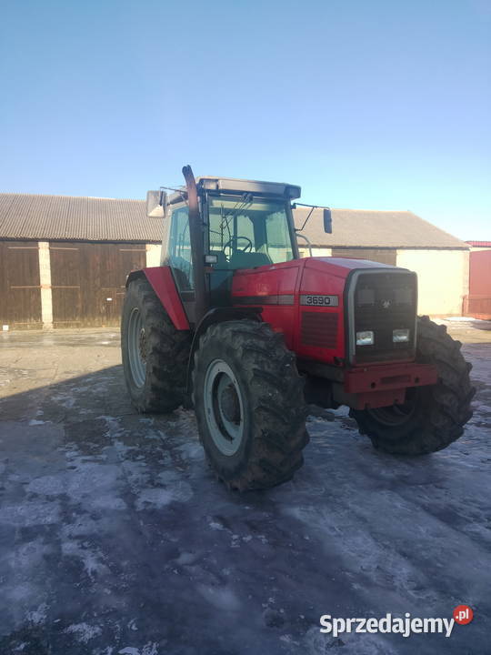Massey Ferguson 3690 Grabów sprzedam