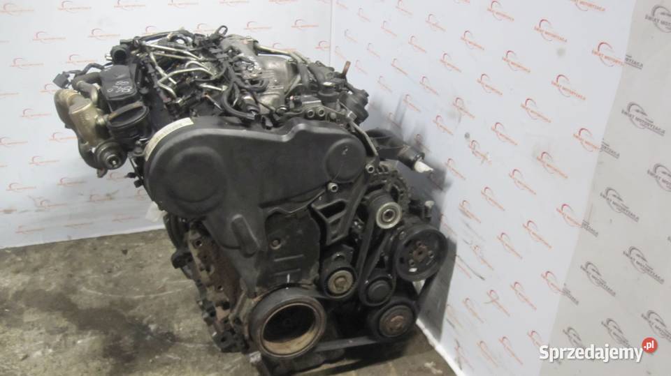 AUDI A6 A4 20 TDI CAG CAGB 136 159 09r silnik Kielce