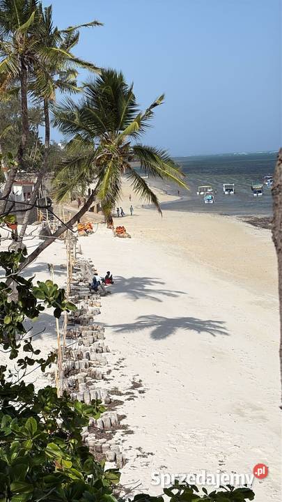 sprzedam mieszkanie apartament internet Warszawa