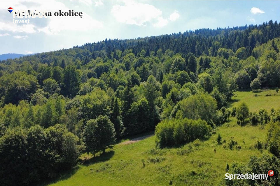 Działka 2262 m z widokiem na góry budowlana Krzyżowa