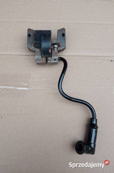 Cewka Briggs straton 500 series Stalowa Wola