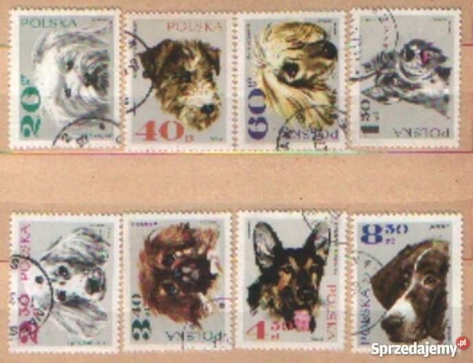 Zn Fi 1751 8 kas 1969 Gliwice