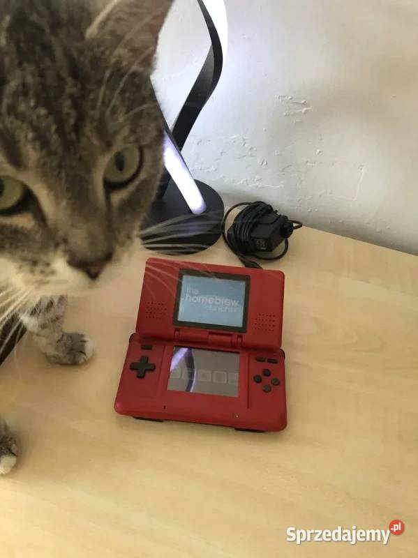 Nintendo DS fat akcesoria napisy Trzcianka sprzedam