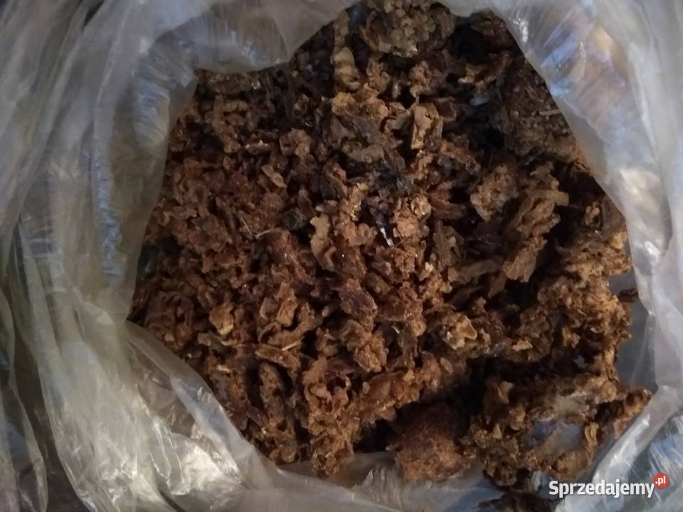 PROPOLIS Kit pszczeli świeżyj Ekologicznyj Pszczelarstwo Warszawa