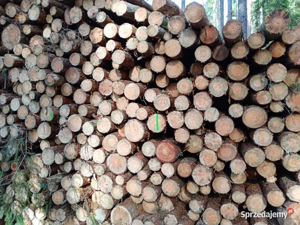 Stęple słupki ogrodzeniowe żerdzie TRANSPORT