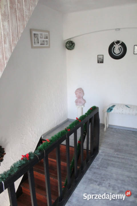 Posesja z warsztatem nieopodal rzeczki Czech asfalt Krzanowice