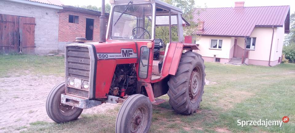 Massey Ferguson 590 łódzkie Ludwinów
