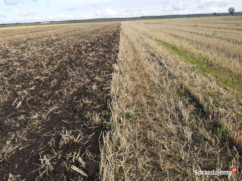 Brona talerzowa Staltech UH40EX talerzówka 4m Agregaty sprzedam