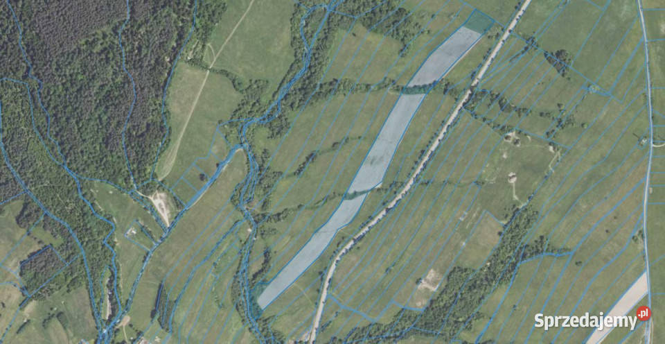 sprzedaży gruntu 587000m2 Daliowa rolna