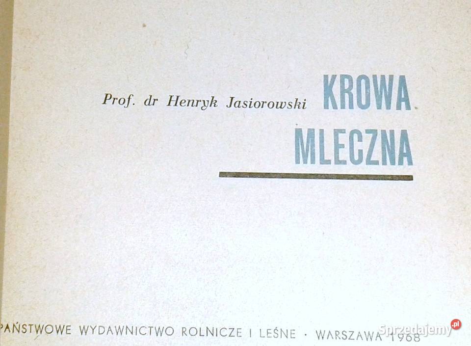 Krowa mleczna Henryk Jasiorowski