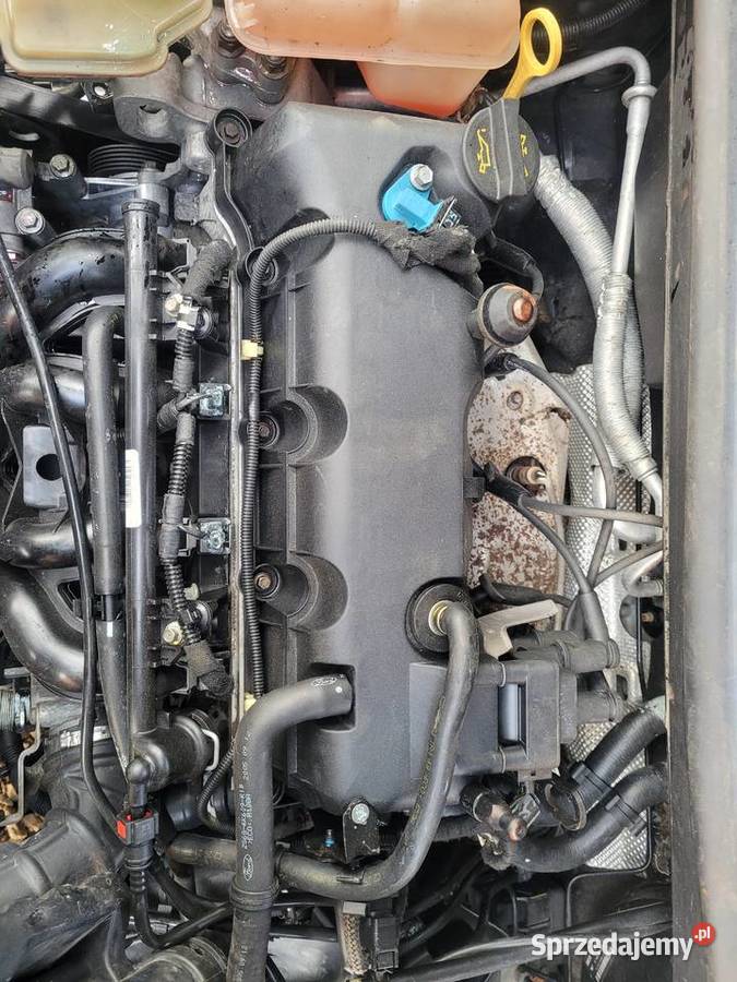 Ford Fiesta MK 6 lift 13 51 kW Części Motoryzacja