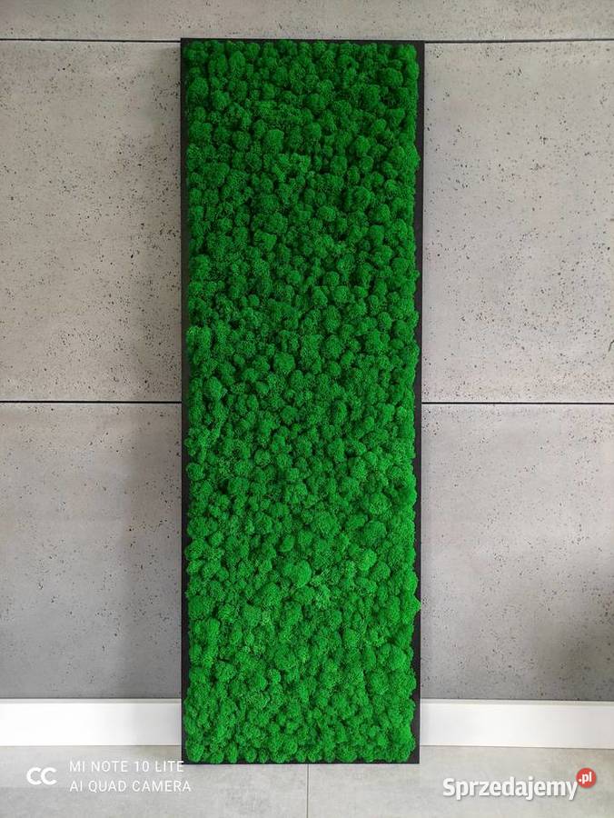 Obraz Mech Chrobotek Rama Czarna 120x40 Dekoracje i ozdoby śląskie Częstochowa