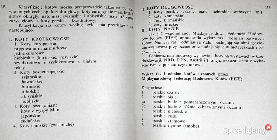 Koty nasze hobby A Konarska Szubska Chełm