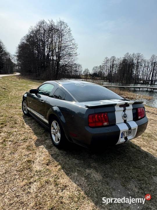 Ford Mustang V6 40 garażowany warmińsko-mazurskie Pasym