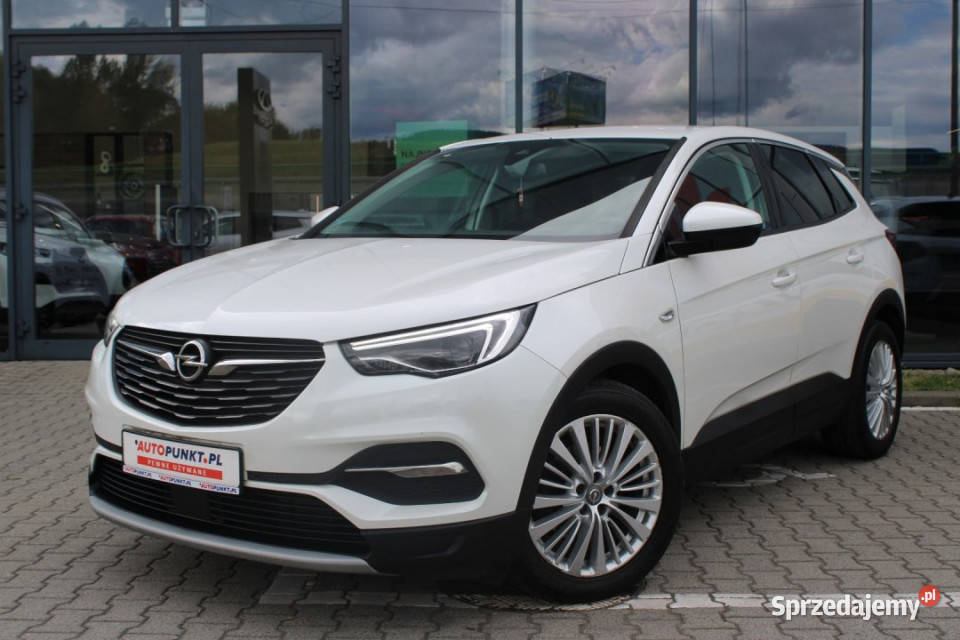 Opel Grandland X 2018r SalonPL LED CarPlay El Bielsko-Biała