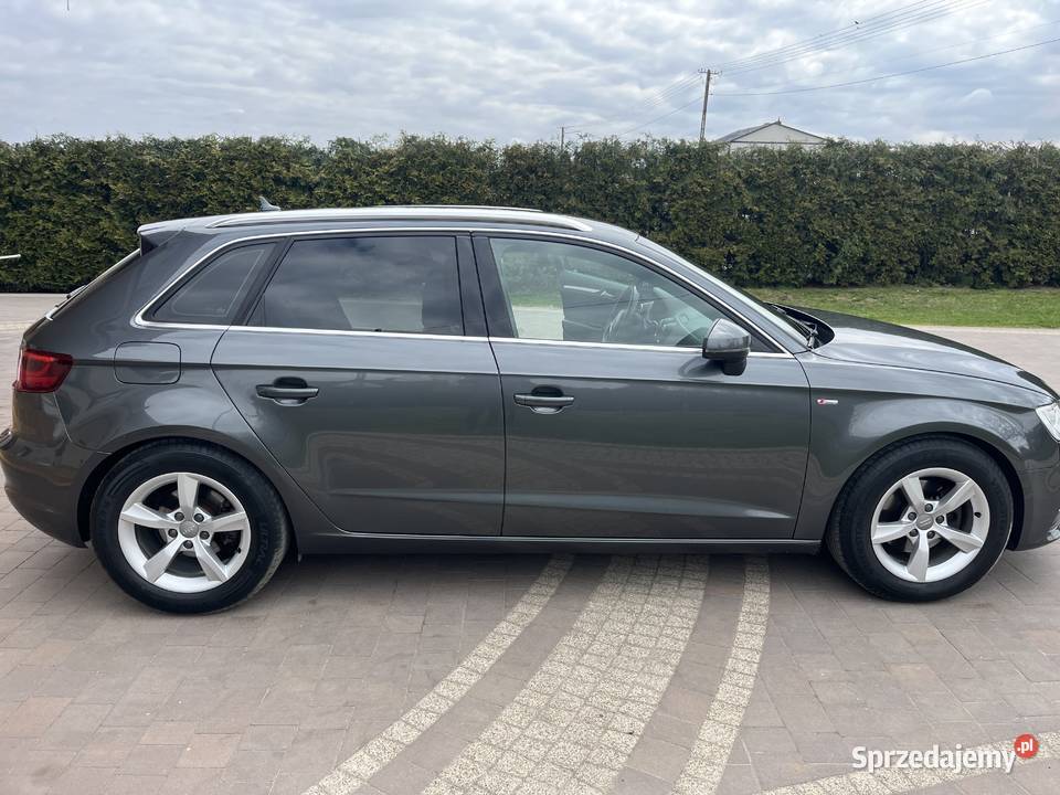 Audi A3 8vv A3 Czarnocin