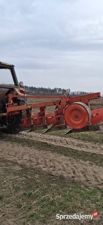 PŁUG AKPIL 4 Ciemnoszyje