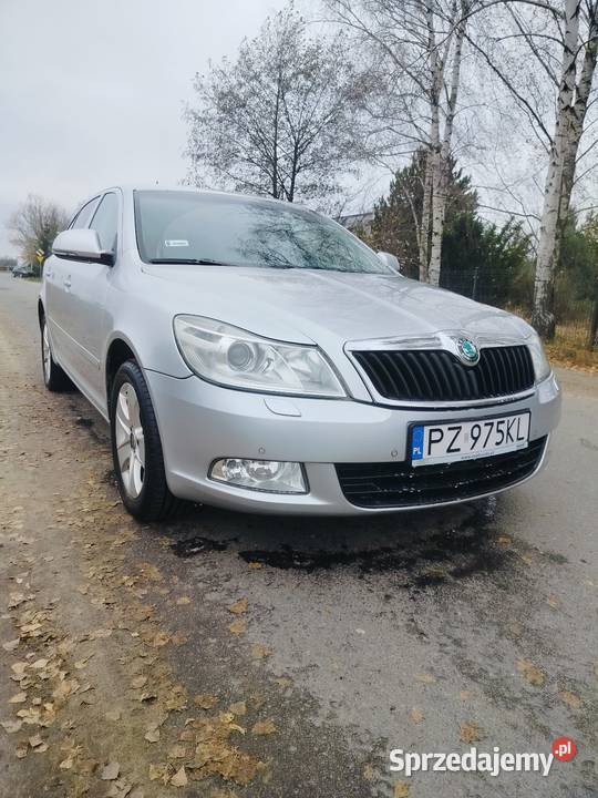 Skoda Octavia II LIFT 18 TSI 160 2010 LIFTBACK Octavia Gruszczyn