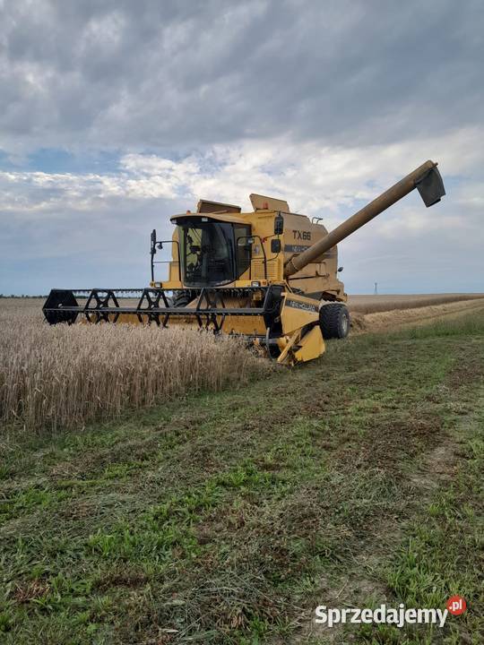 Holland TX 66