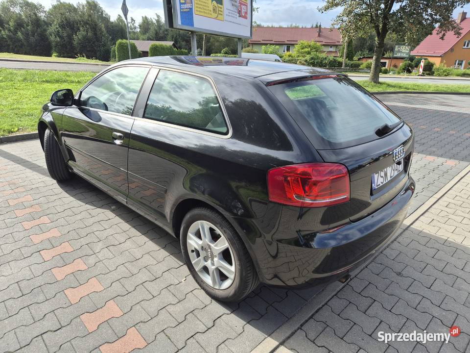Audi a3 8p 16 mpi 2008r Upadły