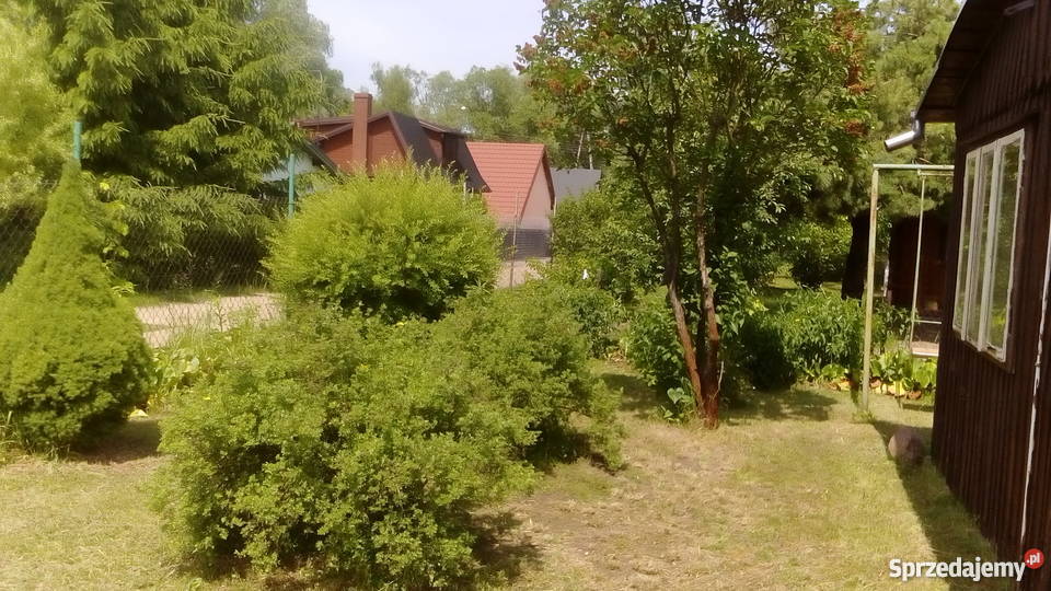 Działka rekreacyjna ROD Jarzynka w Pułtusku Pułtusk