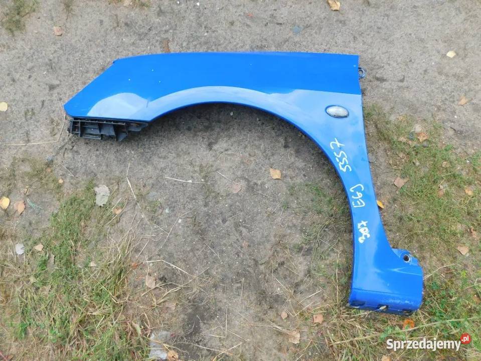 peugeot 307 błotnik kolor EGJ 5557 WYSYŁKA osobowe śląskie